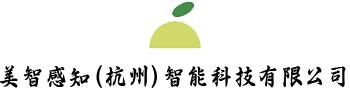 美智感知(杭州)智能科技有限公司